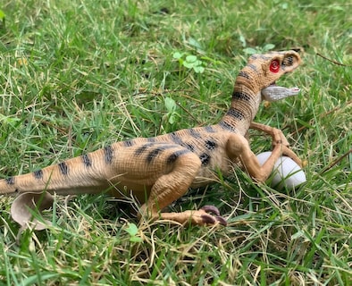 Foto 5 | Foto 5 | Display Toy Gemini&genius Velociraptor Dinosaur Para Niños - Venta Internacional.