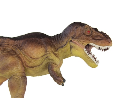 Foto 5 | Foto 5 | Figura de Tiranosaurio Prehistórico Wild Safari Ltd- Venta Internacional