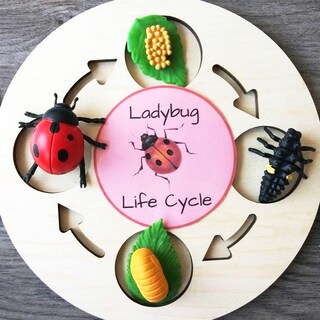 Foto 2 | Foto 2 | Figuras Géminis&Genius - Venta Internacional