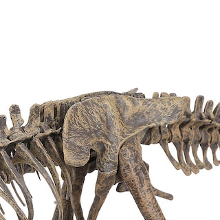 Foto 5 | Foto 5 | Venta Internacional - Esqueleto De Dinosaurio Modelo Tyrannosaurus Rex, 70 Cm, Pvc