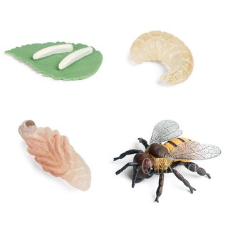 Foto 1 | Foto 1 | Simulación De Figuras De Acción Modelo Del Ciclo De Crecimiento Animal - Venta Internacional.