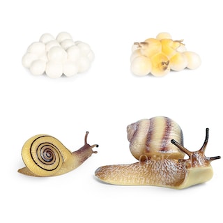 Foto 3 | Foto 3 | Figuras De Acción Del Modelo Del Ciclo De Crecimiento Animal De Simulación - Venta Internacional.