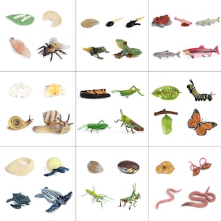 Foto 2 | Foto 2 | Figuras De Acción Del Modelo Del Ciclo De Crecimiento Animal De Simulación - Venta Internacional.