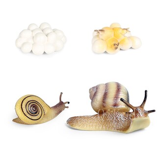 Foto 3 | Foto 3 | Figuras De Acción Del Modelo Del Ciclo De Crecimiento Animal De Simulación - Venta Internacional.