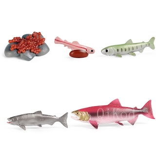 Foto 4 | Foto 4 | Figuras De Acción Del Modelo Del Ciclo De Crecimiento Animal De Simulación - Venta Internacional.