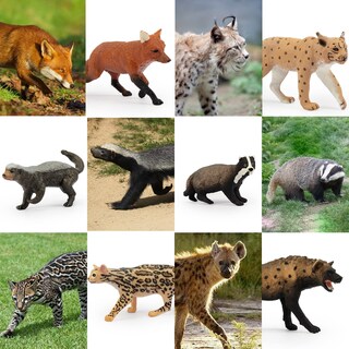 Foto 7 | Foto 7 | Juego De Figuras De Animales Toymany Forest Animal, 10 Piezas Para Niños - Venta Internacional.