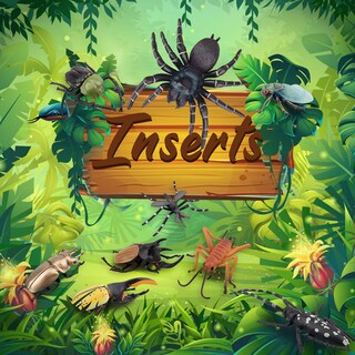 Foto 4 | Foto 4 | Figura De Juguete Toymany Insects, 12 Unidades, Realistas, Para Niños De Más De 3 Años - Venta Internacional.