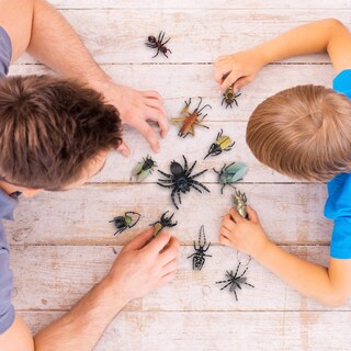 Foto 7 | Foto 7 | Figura De Juguete Toymany Insects, 12 Unidades, Realistas, Para Niños De Más De 3 Años - Venta Internacional.