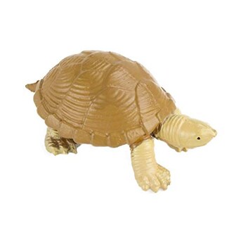Foto 3 | Foto 3 | Safari Ltd. Ranas Y Tortugas | Toob - Venta Internacional.