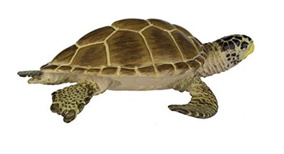 Foto 4 | Foto 4 | Safari Ltd Wild Safari Sea Life Tortuga Boba - Venta Internacional.