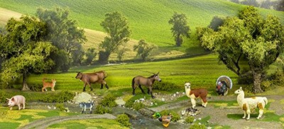 Foto 4 | Foto 4 | Safari Ltd Safari Farm Alpaca - Venta Internacional.