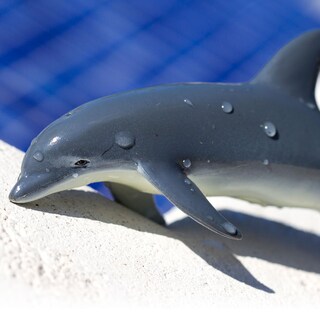 Foto 5 | Foto 5 | Safari Ltd. Acuario De La Bahía De Monterey, Colección Sea L - Venta Internacional.