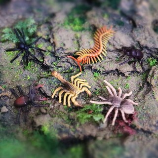 Foto 4 | Foto 4 | Toy Figures Rcomg Realistic Insects, 12 Unidades, Para Niños De Más De 3 Años - Venta Internacional.