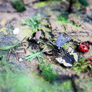 Foto 5 | Foto 5 | Toy Figures Rcomg Realistic Insects, 12 Unidades, Para Niños De Más De 3 Años - Venta Internacional.
