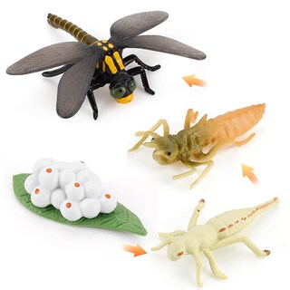 Foto 5 | Foto 5 | Figura Géminis Y Genius: Ciclo De Vida De Un Mosquito Y Una Libélula - Venta Internacional.