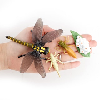 Foto 7 | Foto 7 | Figura Géminis Y Genius: Ciclo De Vida De Un Mosquito Y Una Libélula - Venta Internacional.