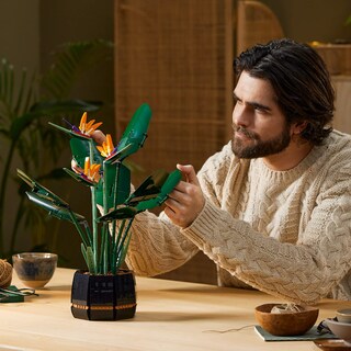 Foto 5 | Foto 5 | Kit De Construcción Lego Botanical Collection Bird Of Paradise 10289 - Venta Internacional.