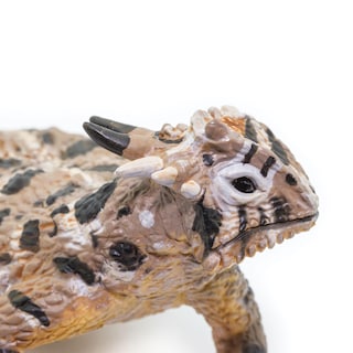 Foto 4 | Foto 4 | Figura de Lagarto Safari Ltd Juguete Educativo - Venta Internacional