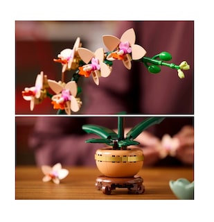 Foto 5 | Foto 5 | Set De Construcción Mini Orquídeas 274 Pz Colores