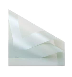 Foto 1 | Foto 1 | Papel para Ramos Lab.G 20 Piezas