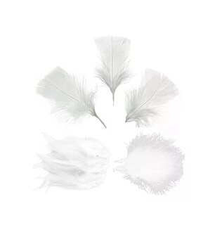 Foto 5 | Foto 5 | 100 Plumas De Ave Ganso Pavo Decorativa Mide Entre 10 Cm A 15 Cm Blanco