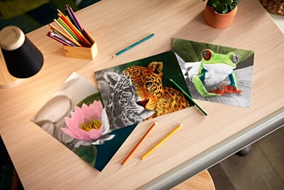 Foto 5 | Foto 5 | Kit Para Colorear Crayola Hd Con 30 Lápices De Colores Y 20 Páginas - Venta Internacional.