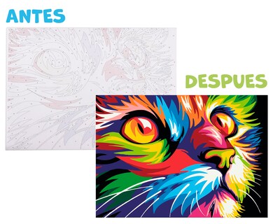 Foto 1 | Foto 1 | Pinta Por Número Diako Gato Multicolor Lienzo Y Pinturas Acrílicas