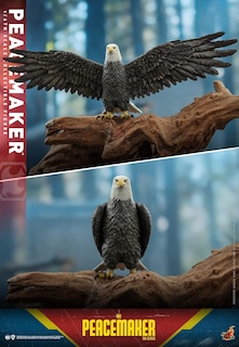 Foto 6 | Foto 6 | Figura Hot Toys DC Peacemaker The Series: Peacemaker 1:6 de Escala