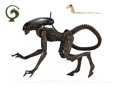 Foto 4 | Foto 4 | Neca Alien 3 Ultimate Dog Alien 7 Pulgadas Action Figure