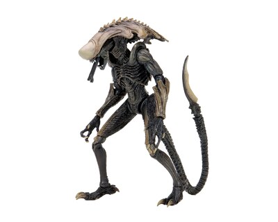 Foto 1 | Foto 1 | Figura Alien Vs Predator Alien Crisálida Edicion Movie Neca