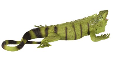Foto 4 | Foto 4 | Figura Safari Ltd. Iguana Lifelike 11 - Venta Internacional
