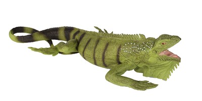 Foto 5 | Foto 5 | Figura Safari Ltd. Iguana Lifelike 11 - Venta Internacional