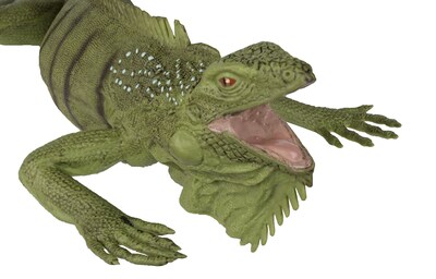 Foto 6 | Foto 6 | Figura Safari Ltd. Iguana Lifelike 11 - Venta Internacional