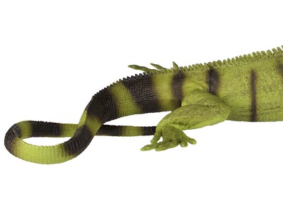 Foto 7 | Foto 7 | Figura Safari Ltd. Iguana Lifelike 11 - Venta Internacional