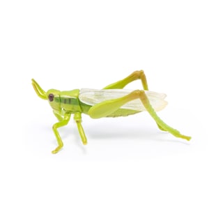 Foto 1 | Foto 1 | Figura Papo Wild Animal Kingdom Grasshopper 50268- Venta Internacional