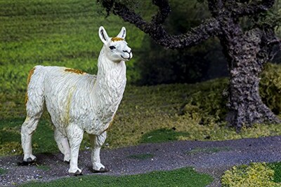 Foto 2 | Foto 2 | Llama Silvestre De Safari Ltd. - Venta Internacional.