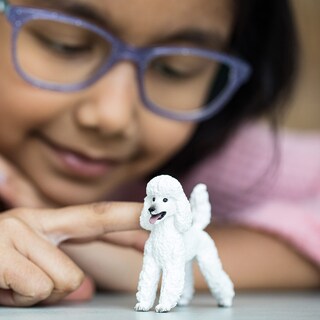 Foto 2 | Foto 2 | Figura De Juguete Schleich Farm World Poodle Para Niños Mayores De 3 Años - Venta Internacional.