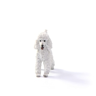 Foto 3 | Foto 3 | Figura De Juguete Schleich Farm World Poodle Para Niños Mayores De 3 Años - Venta Internacional.