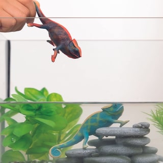 Foto 3 | Foto 3 | Figura De Juguete Schleich Wild Life, Camaleón Realista Que Cambia De Color - Venta Internacional.