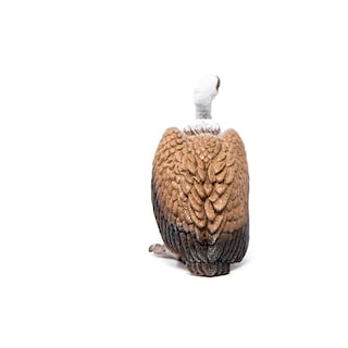Foto 6 | Foto 6 | Figura Animal Schleich Wild Life Vulture Para Niños De 3 A 8 Años - Venta Internacional.