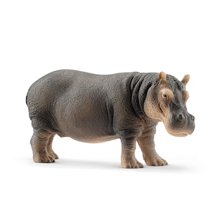 Foto 1 | Foto 1 | Figura Schleich Wild Life De Hipopótamo Realista Con Detalles - Venta Internacional.