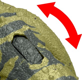 Foto 4 | Foto 4 | Figura De Dinosaurio Jurassic World Wild Roar Ceratosaurus Toy - Venta Internacional.