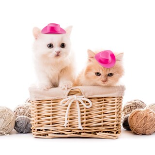 Foto 4 | Foto 4 | Sombreros Vaqueros Miniatura Decoración 20 Unidades - Venta Internacional