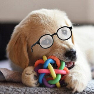 Foto 2 | Foto 2 | Gafas para Muñeca Nuobesty Negros - Venta Internacional