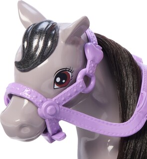 Foto 4 | Foto 4 | Set De Muñecas Barbie Chelsea Con Caballo De Juguete, Casco Y Silla De Montar De Más De 3 Años - Venta Internacional.