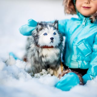 Foto 1 | Foto 1 | Doll Pet The Queen's Treasures Husky Pupdog Para Muñecas De 18 Pulgadas - Venta Internacional.