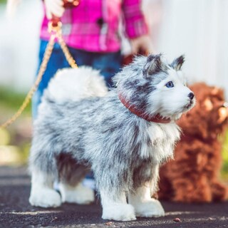 Foto 3 | Foto 3 | Doll Pet The Queen's Treasures Husky Pupdog Para Muñecas De 18 Pulgadas - Venta Internacional.