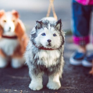 Foto 5 | Foto 5 | Doll Pet The Queen's Treasures Husky Pupdog Para Muñecas De 18 Pulgadas - Venta Internacional.