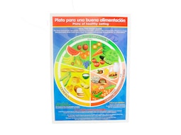 Póster Didáctico Chico: Plato Del Buen Comer 35 X 50 cm