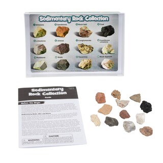 Foto 6 | Foto 6 | Perspectivas Educativas Sobre La Colección De Rocas, Minerales Y Fósiles - Venta Internacional.